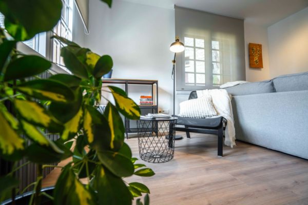 21041fa8 d183 4822 933d c073a8b087bd 1