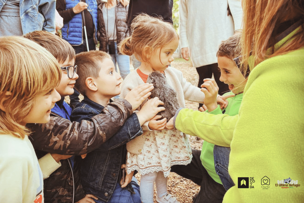 DECOYBA Tendencias 2024 1