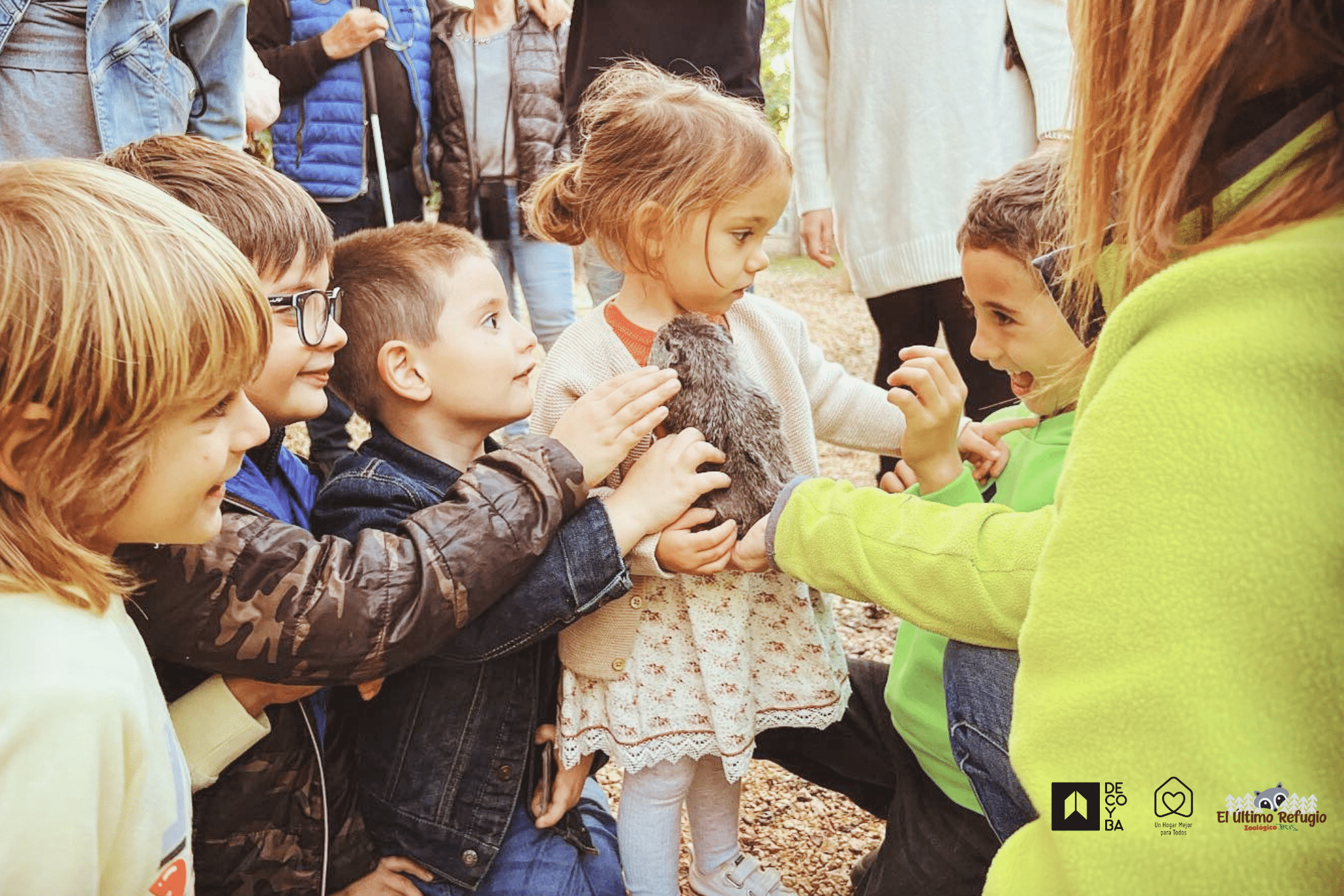 DECOYBA Tendencias 2024 1